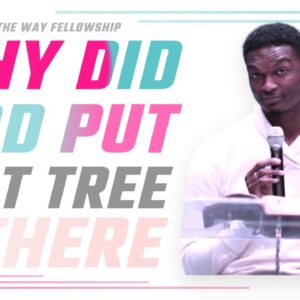 Why Did God Put That Tree There | The Way Houston