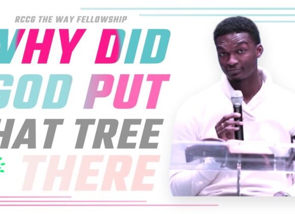 Why Did God Put That Tree There | The Way Houston