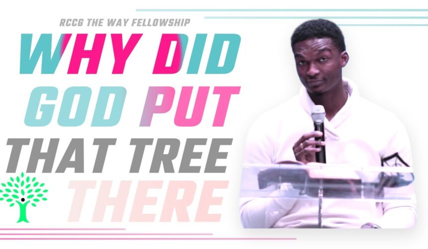 Why Did God Put That Tree There | The Way Houston